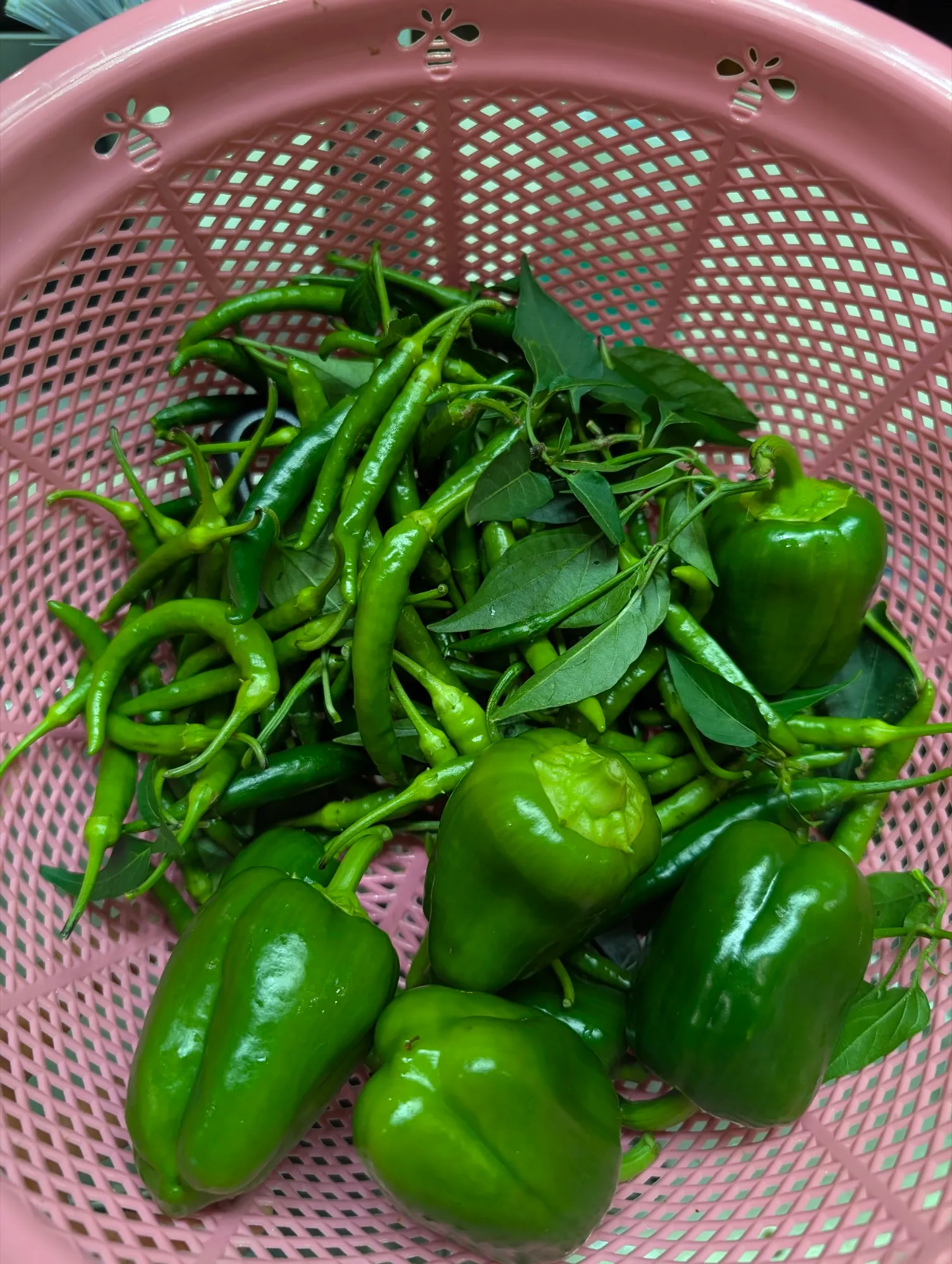 Home-grown garden produce